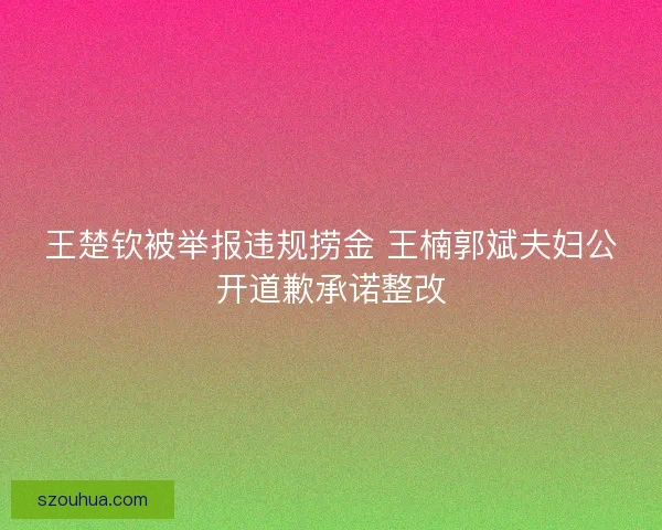 王楚钦被举报违规捞金 王楠郭斌夫妇公开道歉承诺整改